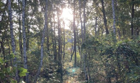 Schöne Herbstferien